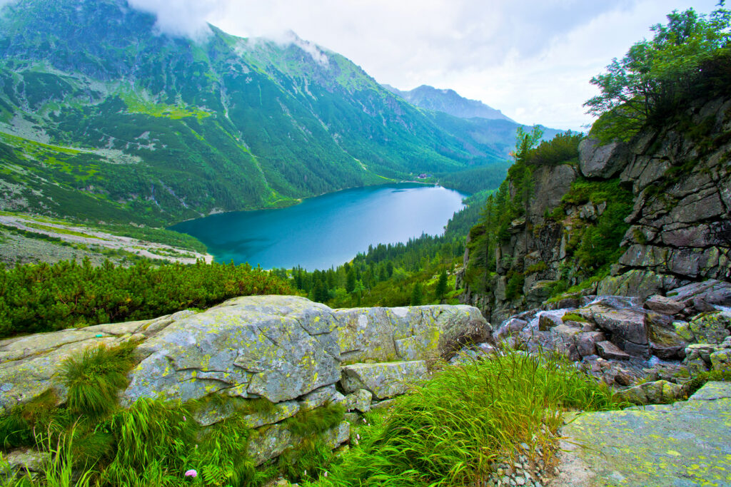 Vue panoramique sur un lac de montagne entouré de forêts et de sommets verdoyants, avec des rochers au premier plan.