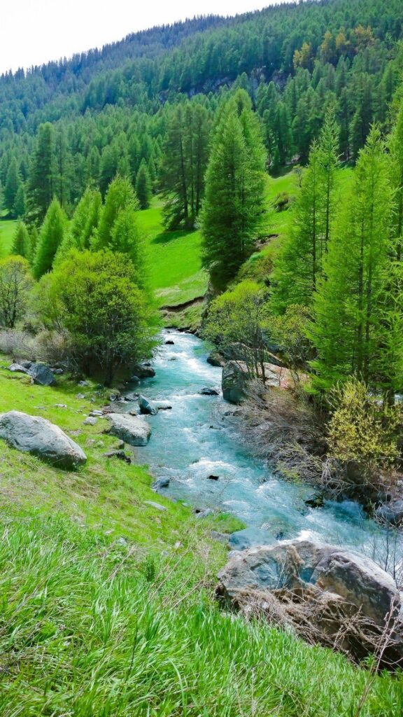 Paysage naturel avec une rivière turquoise serpentant entre les sapins et les collines verdoyantes, en lien avec l’univers apaisant de Capucine de Villartay à Asnières-sur-Seine